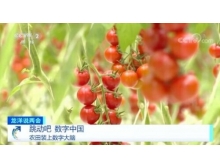 花蓮縣兩會關注數字農業，構建鄉村振興的數字藍海